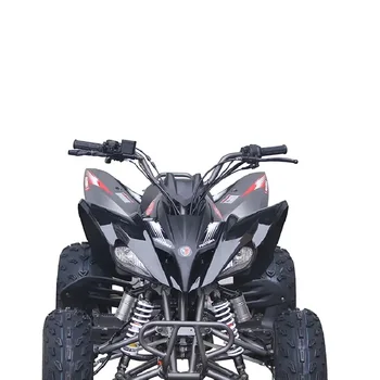 Руководство 150cc 200cc 4-колесный спортивный квадроцикл Гоночный квадроцикл ATV 250cc